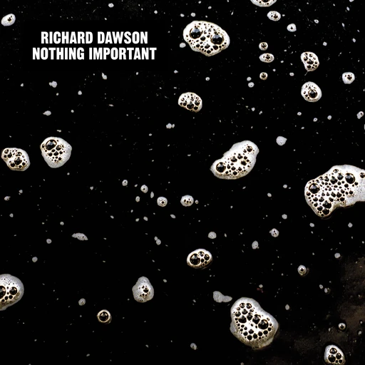 Richard Dawson - Nothing Important (2014)